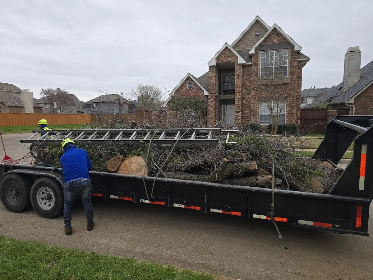 Expert Tree Fertilization with proper safety equipment in Reliance